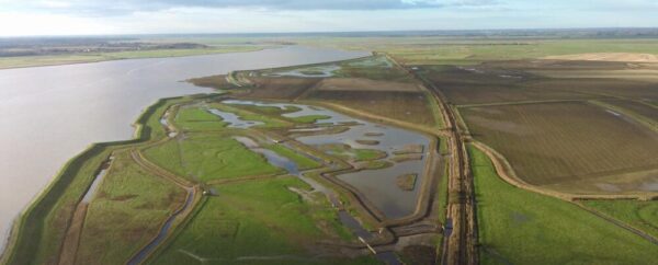 Loughlin’s Marsh Project