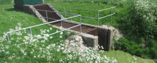 Magdalen Fen Strategy Project – Waltham Farm Pumping Station