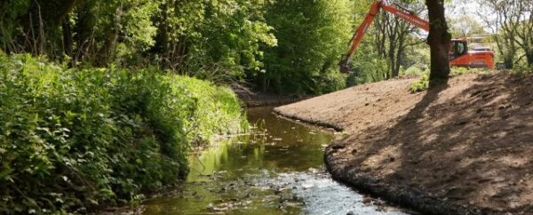 Starston River Habitat Enhancement Project
