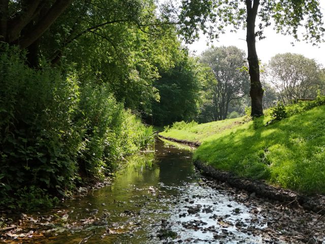 In channel view of new gentle gradiant of Starston Beck bank at Glebe Meadow - Complete in April 2025