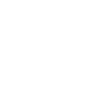 Document Icon White