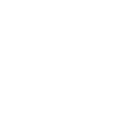 Newsletter Icon White