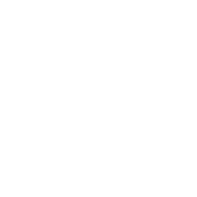 Questions Icon White