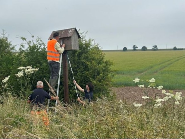 Members of the Wildlife Conservation Partnership Team and Environment Team access a barn owl box to carry out the annual barn owl surveys