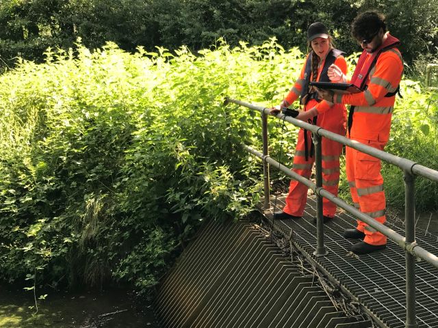 Environment Team carrying out dissolved oxygen survey at Catfield in June 2025