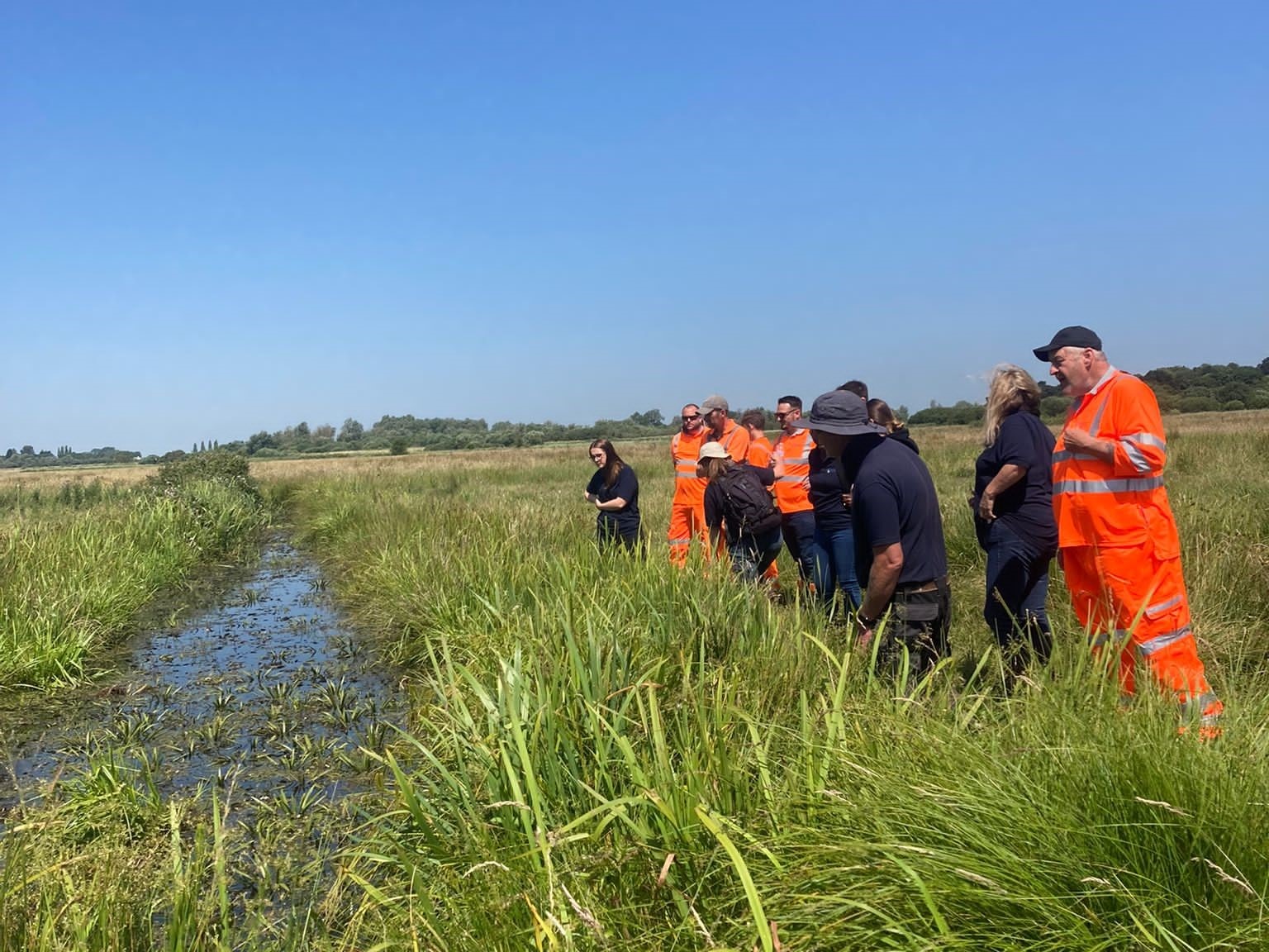 Fen Raft Spider Training
