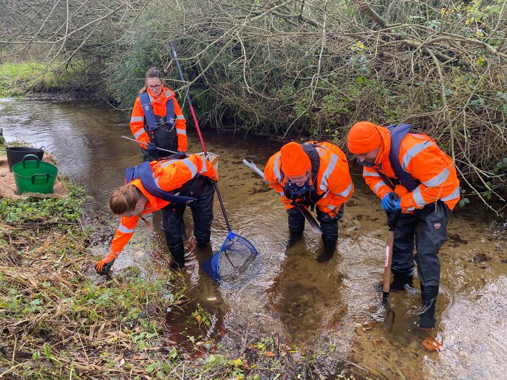 Environment Team working in a watercourse to find invasive species in December 2021