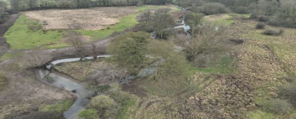 River Tas Forncett Natural Flood Management (NFM) and River Restoration Project