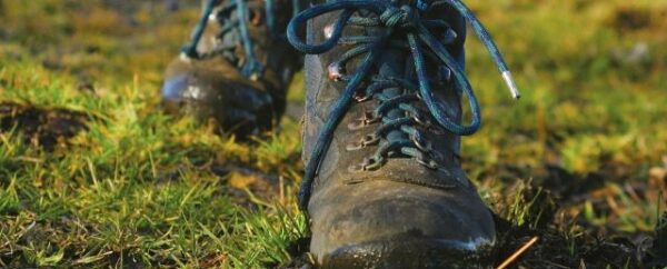 Footpath Access Update – Benacre & Kessingland Flood Risk Management Project
