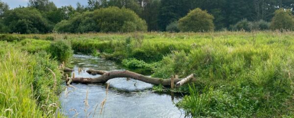River Nar Restoration Project – Castle Acre Common