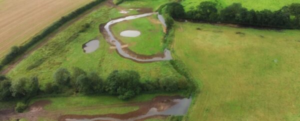 River Bure Restoration – Scarrow Beck
